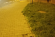 Zdjęcie 1 przedstawia problem zgłoszony w tym alercie