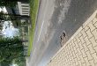 Zdjęcie 1 przedstawia problem zgłoszony w tym alercie