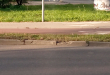 Zdjęcie 3 przedstawia problem zgłoszony w tym alercie