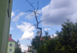 Zdjęcie 2 przedstawia problem zgłoszony w tym alercie