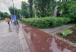 Zdjęcie 2 przedstawia problem zgłoszony w tym alercie