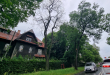 Zdjęcie 1 przedstawia problem zgłoszony w tym alercie