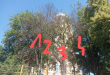 Zdjęcie 1 przedstawia problem zgłoszony w tym alercie