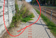 Zdjęcie 3 przedstawia problem zgłoszony w tym alercie