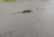 Zdjęcie 2 przedstawia problem zgłoszony w tym alercie