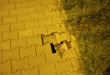 Zdjęcie 2 przedstawia problem zgłoszony w tym alercie