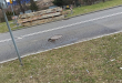 Zdjęcie 2 przedstawia problem zgłoszony w tym alercie
