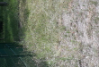 NaprawmyTo