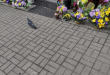 Zdjęcie 5 przedstawia problem zgłoszony w tym alercie