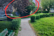 Zdjęcie 1 przedstawia problem zgłoszony w tym alercie